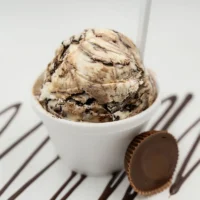 nittanypaws-2_800x859