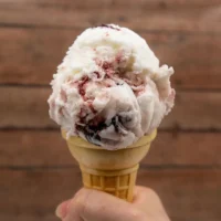 veganwildberry-2_800x859