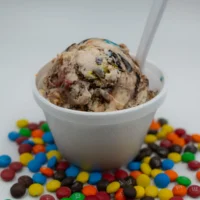 everythingfudge-2_800x859